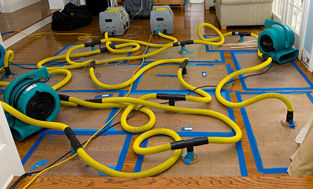Professional Sewage Cleanup technician working in Malone, TX